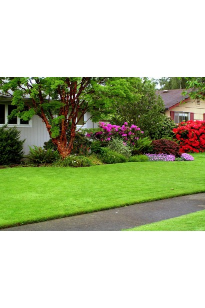 "YARA" для газонів тривалої дії, 1 кг